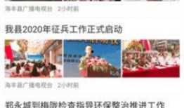 广东海丰爆料新闻事件视频,视频揭露惊人真相